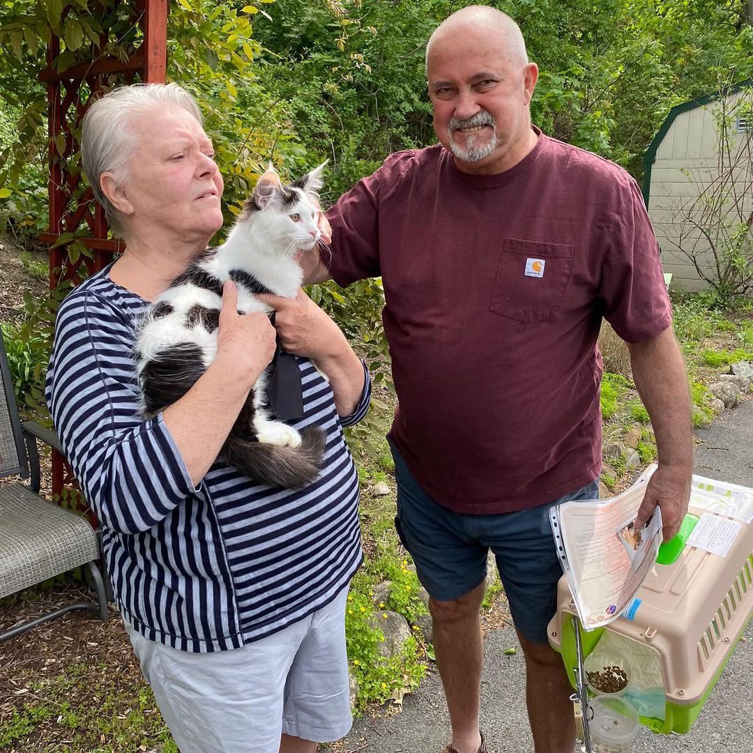 Door-to-Door Service